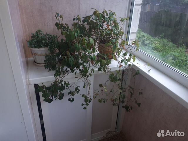 2-к квартира, 52 м², 1/9 эт.