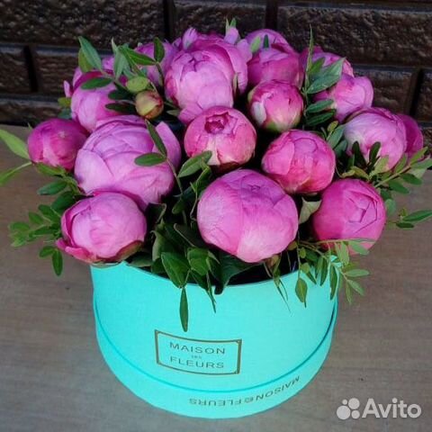 Пионы Пионы