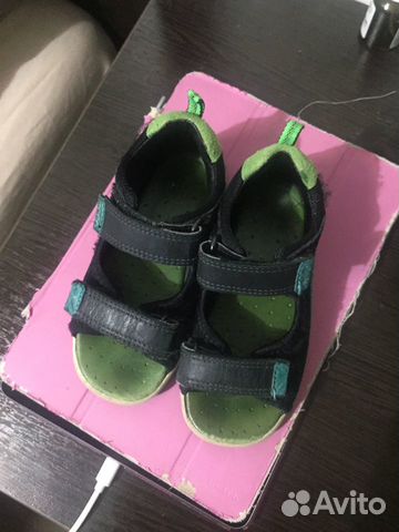 Ecco biom Ecco biom