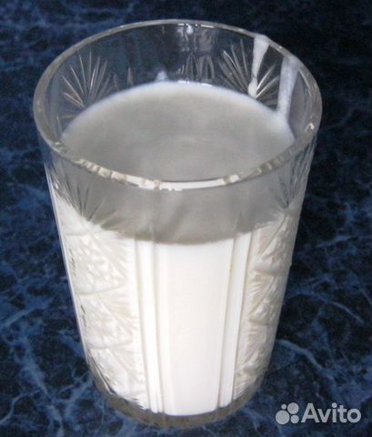 Тибетский молочный гриб (кефирный)