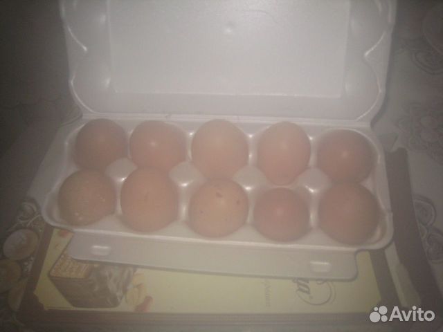 Яйца куриные домашние продаю купить на Зозу.ру - фотография № 5