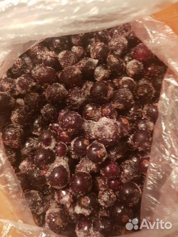 Черная смородина Черная смородина