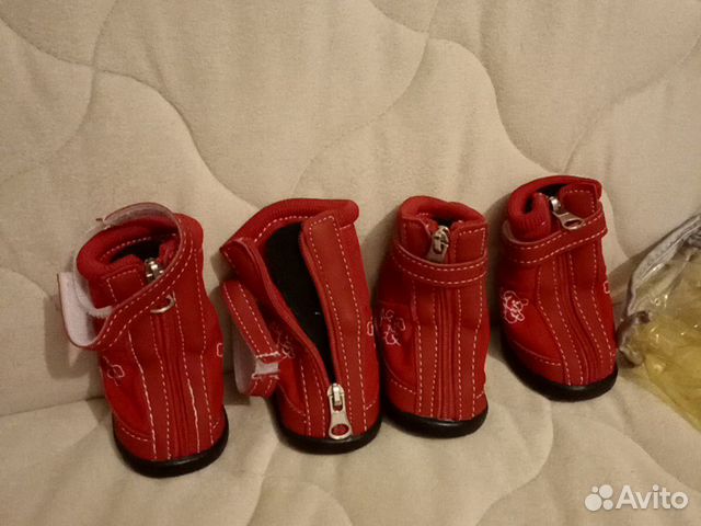 Обувь для собаки