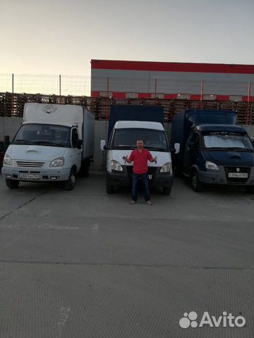 Газель