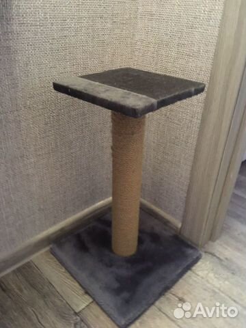 Когтеточка для кота