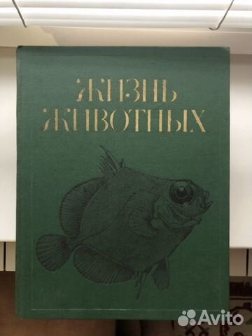 Энциклопедия 
