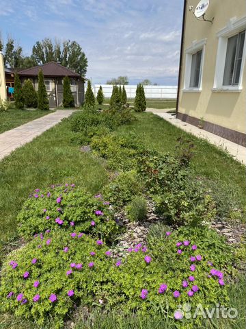 Дом 170 м² на участке 24 сот. Дом 170 м² на участке 24 сот.