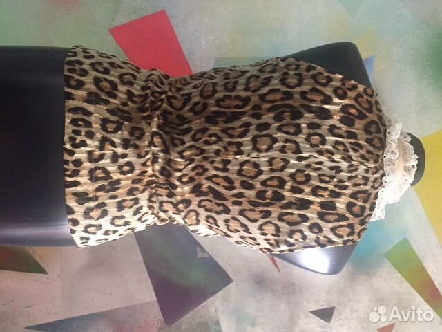 Cavalli Cavalli