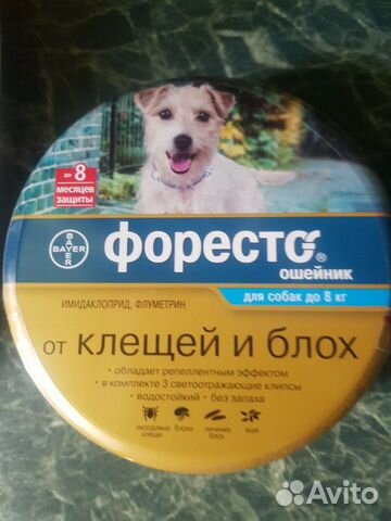 Противоблошный ошейник