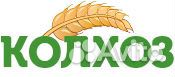 Продавец-кассир (молочный отдел) Продавец-кассир (молочный отдел)