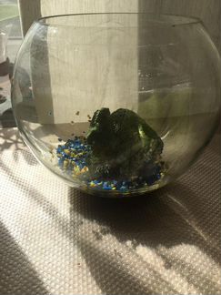 Аквариум 7 литров с аксессуарами