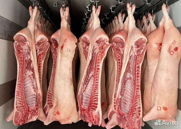 Продукты питания оптом