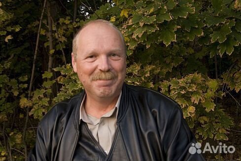 Заместитель руководителя,управляющий,администратор