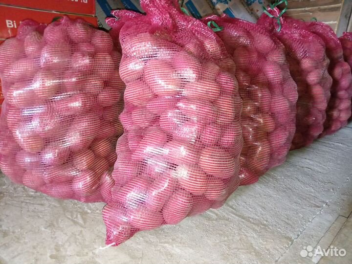 Продам картофель