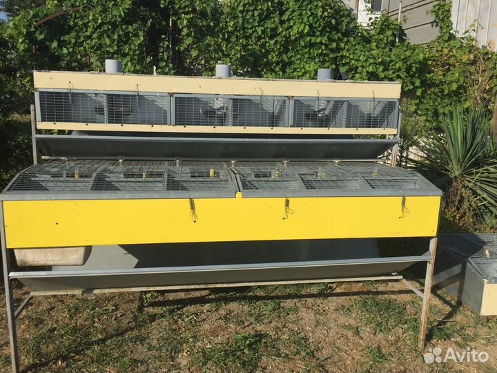 Клетки и кормушки для кроликов