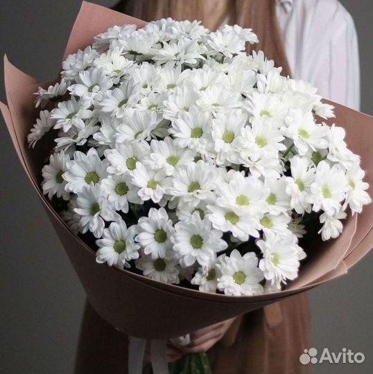 Хризантема Доставка цветов