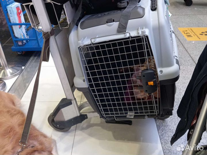 Переноска для собак шкудо5