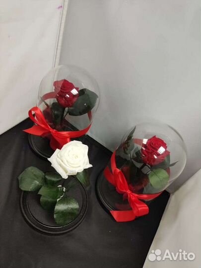 Роза в колбе