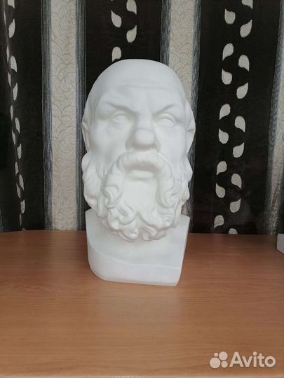 Гипсовый бюст