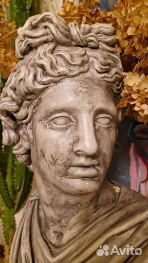 Бюст Аполлона