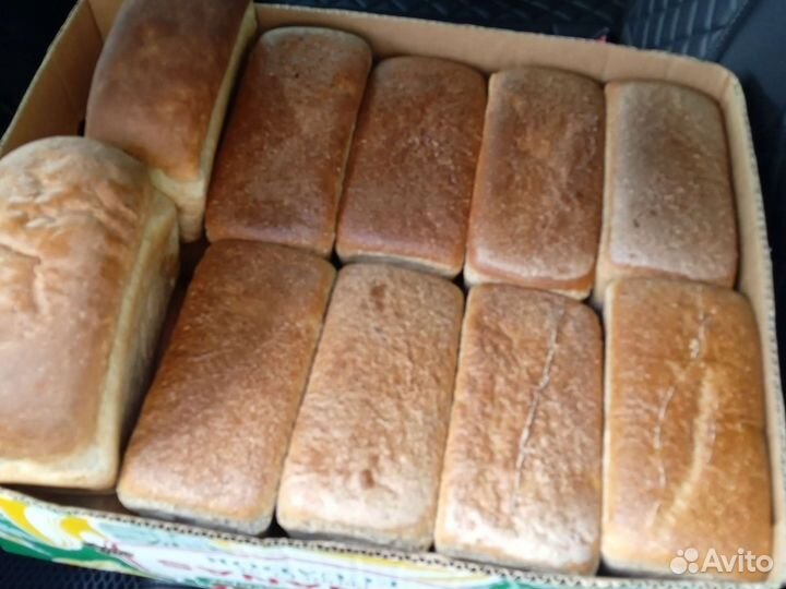 Хлеб для корма животных