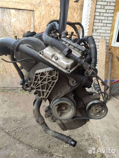 Двигатель Volkswagen Polo 4 (2001 - 2009) 1.4 amf