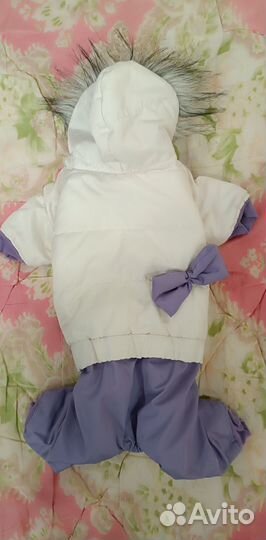 Одежда для собак мелких пород