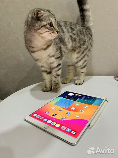 iPad pro 10.5 256 гб (2017) + apple pencil