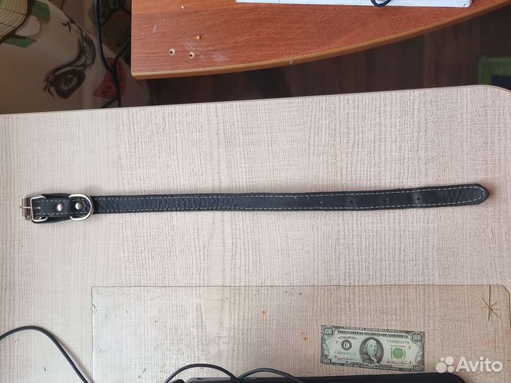 Ошейник для собак