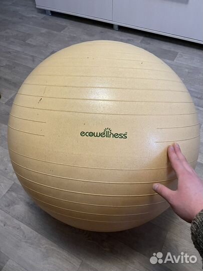 Мяч гимнастический Ecowellness
