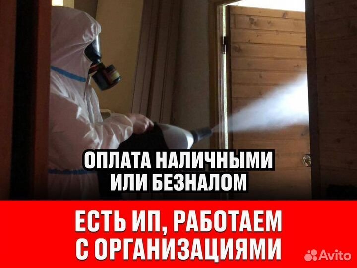 Уничтожение тараканов и клопов дезинсекция