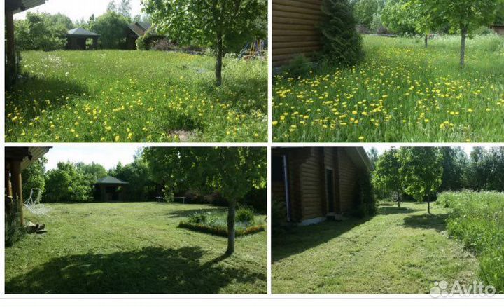 Уборка, расчистка участка. Вывоз мусора