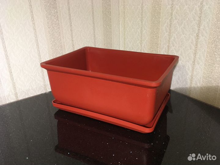 Бонсайница, таблетки торфян, галька (грунт)