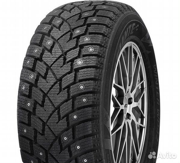 Delinte Winter WD42 285/50 R20 116T