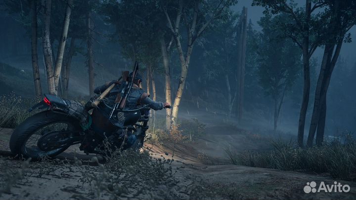 Days gone пк (Steam) Жизнь после