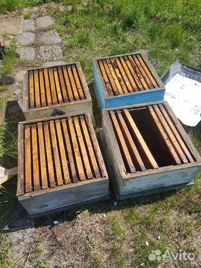 Ульи для пчел бу