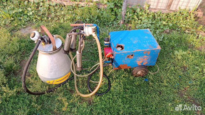 Доильный аппарат для коров бу