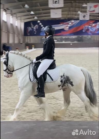 Занятия верховой ездой на тинкере. Выездка, конкур