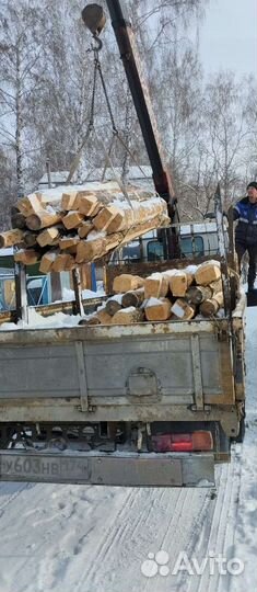 Срубы сосновые из зимнего леса в наличии