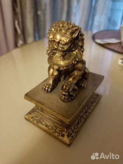 Хоттей на драконе