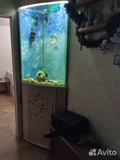 Аквариум