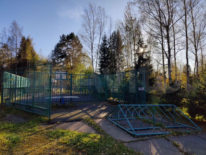 Участок 11 сот. (СНТ, ДНП)