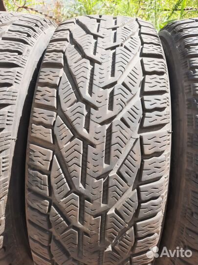 Tigar Winter 195/60 R15