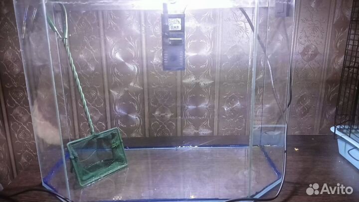 Аквариум