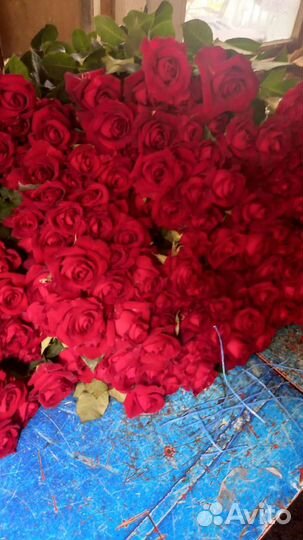Живые цветы букеты розы
