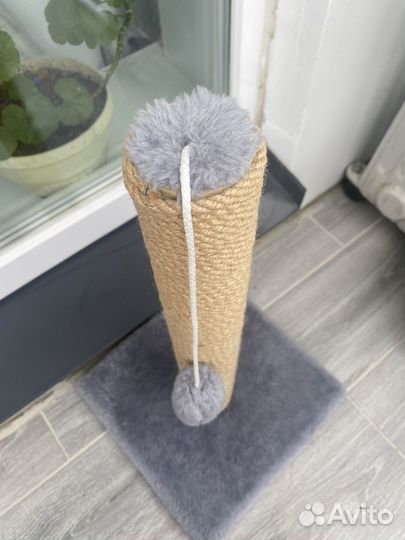 Когтеточка для кошек