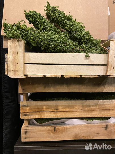 Скрутки папоротника из Карелии