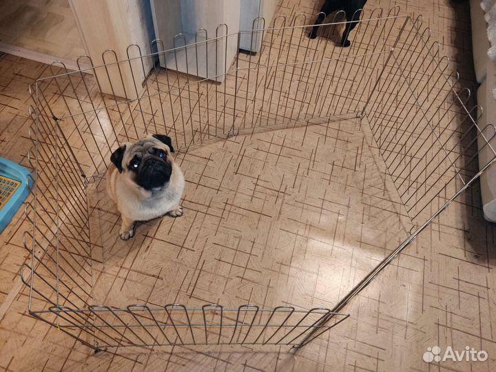 Вольер для собак, оцинкованный