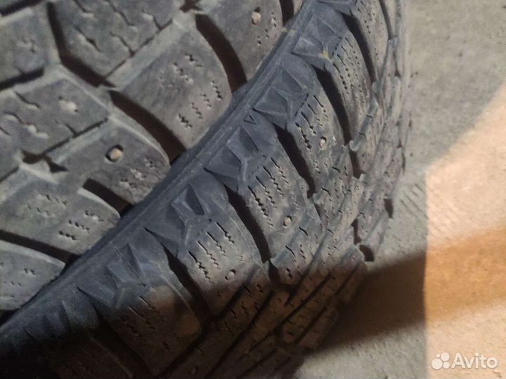 Nexen Winguard WinSpike 195/65 R15