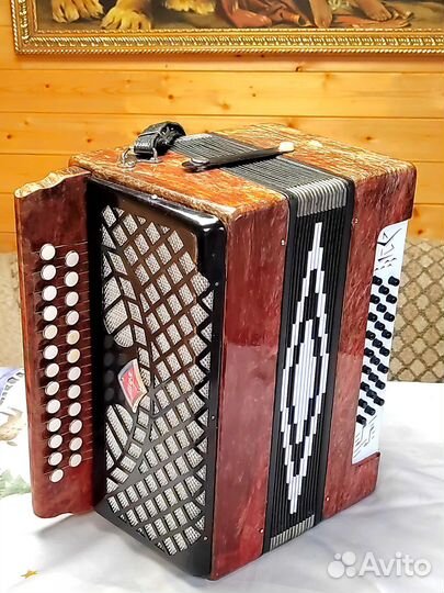 Шуйская гармонь чайка 2